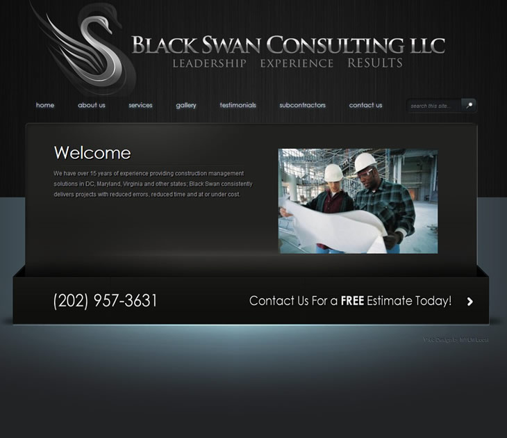 Black Swan Consulting