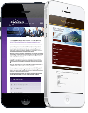 Mobile Website Design & Development